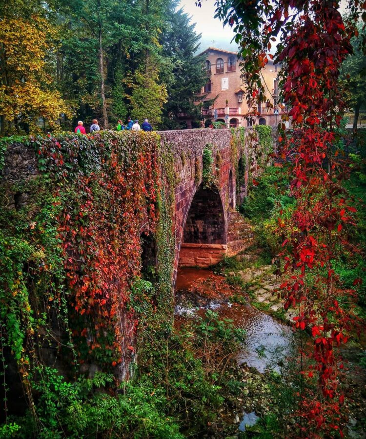 pont de sant roc olot tardor