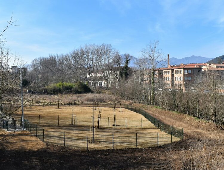 Olot. Garrotxa. Gossos. Mascotes. Parc per a gossos al barri de les Fonts, el primer de la ciutat.