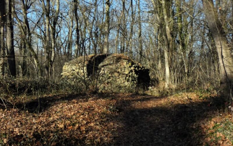 Bosc Terapèutic i Saludable Olot3