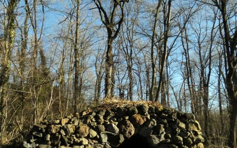 Bosc Terapèutic i Saludable Olot4