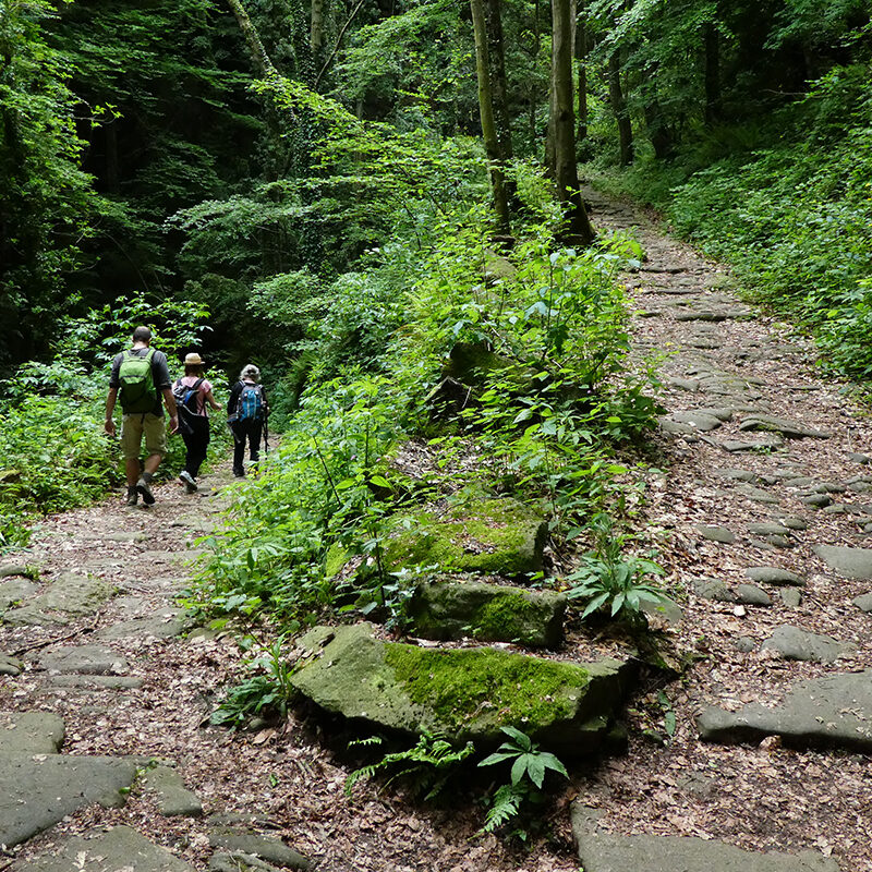 Deriva-Mussol-Camí-RAL-de-Vic-a-Olot-a-peu-49