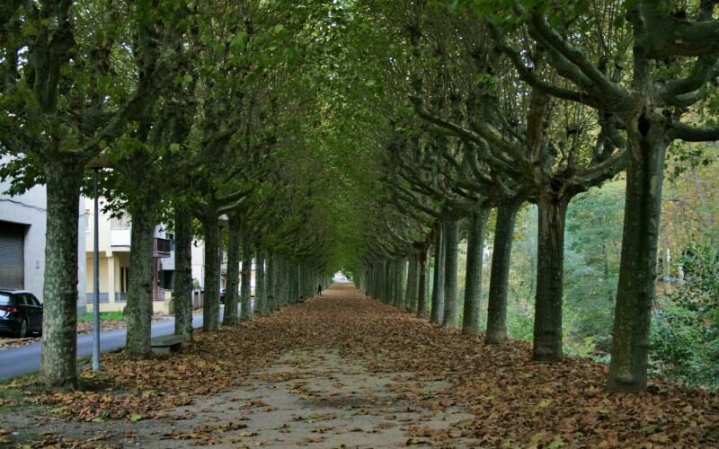 Passeig-i-pont-de-Sant-Roc-2