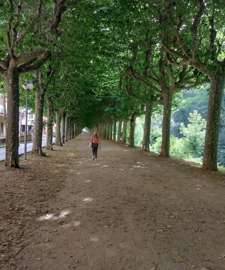 passeig sant roc olot estiu